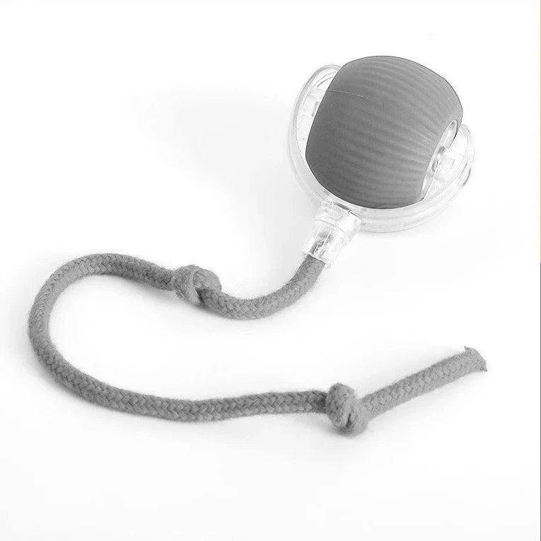 active-rolling-ball-with-tail-for-dogs-41190892_2.jpg